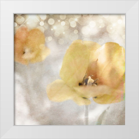 Yellow Tulip 02 White Modern Wood Framed Art Print by LightBoxJournal