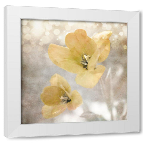 Yellow Tulip 03 White Modern Wood Framed Art Print by LightBoxJournal