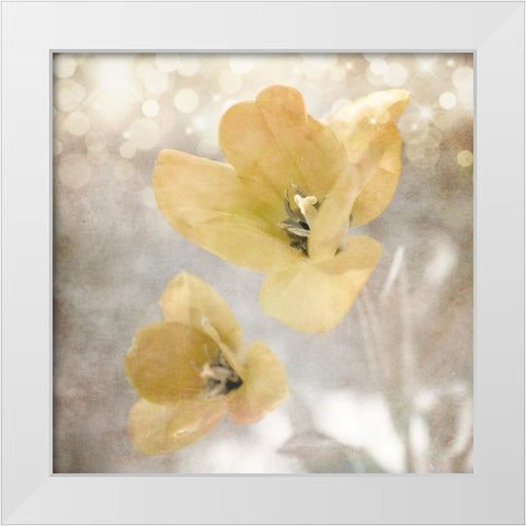 Yellow Tulip 03 White Modern Wood Framed Art Print by LightBoxJournal