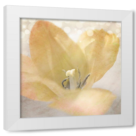 Yellow Tulip 04 White Modern Wood Framed Art Print by LightBoxJournal