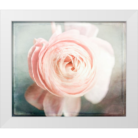 Peony 02 White Modern Wood Framed Art Print by LightBoxJournal