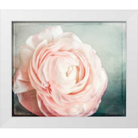 Peony 04 White Modern Wood Framed Art Print by LightBoxJournal