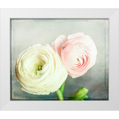 Peony 06 White Modern Wood Framed Art Print by LightBoxJournal