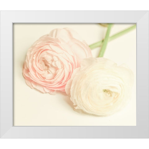 Peony A3 White Modern Wood Framed Art Print by LightBoxJournal