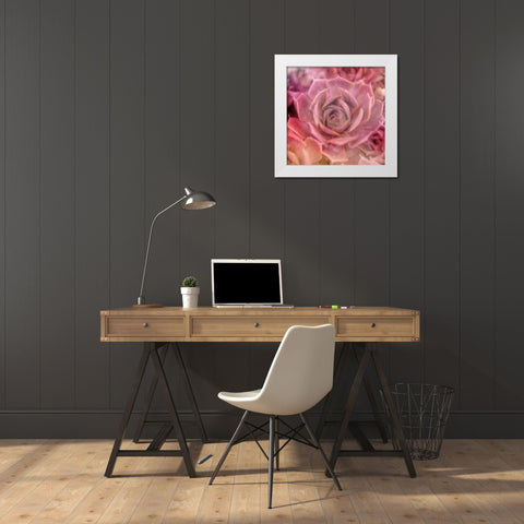 Succulents 04 White Modern Wood Framed Art Print by LightBoxJournal