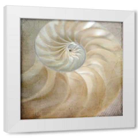Under the Sea 01 White Modern Wood Framed Art Print by LightBoxJournal