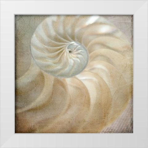 Under the Sea 01 White Modern Wood Framed Art Print by LightBoxJournal