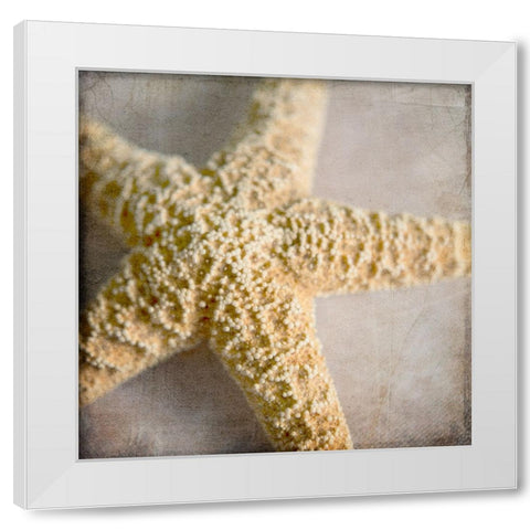 Under the Sea 03 White Modern Wood Framed Art Print by LightBoxJournal