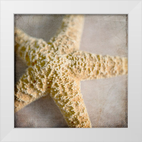 Under the Sea 03 White Modern Wood Framed Art Print by LightBoxJournal
