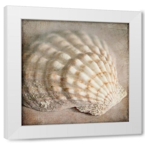 Under the Sea 04 White Modern Wood Framed Art Print by LightBoxJournal