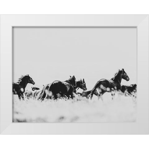 Wild Horses of the Great Basin 00 White Modern Wood Framed Art Print by LightBoxJournal