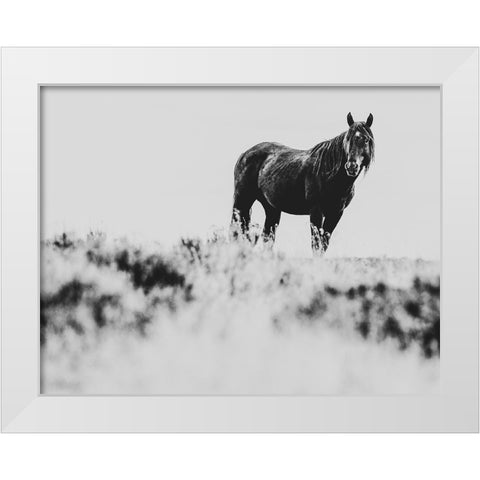 Wild Horses of the Great Basin 01 White Modern Wood Framed Art Print by LightBoxJournal
