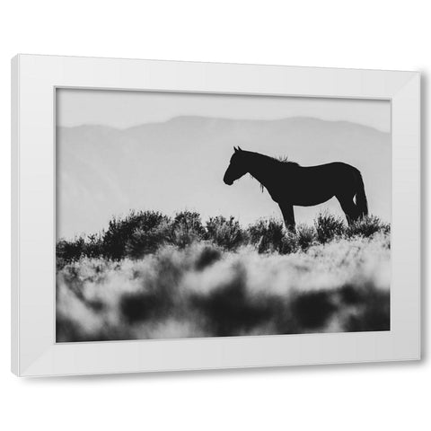 Wild Horses of the Great Basin 02 White Modern Wood Framed Art Print by LightBoxJournal