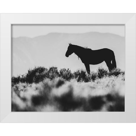 Wild Horses of the Great Basin 02 White Modern Wood Framed Art Print by LightBoxJournal