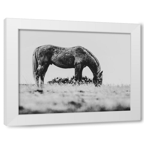 Wild Horses of the Great Basin 03 White Modern Wood Framed Art Print by LightBoxJournal