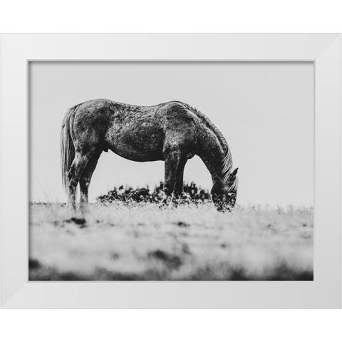 Wild Horses of the Great Basin 03 White Modern Wood Framed Art Print by LightBoxJournal