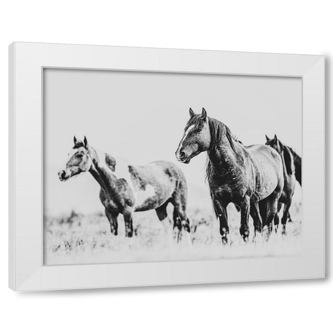 Wild Horses of the Great Basin 04 White Modern Wood Framed Art Print by LightBoxJournal