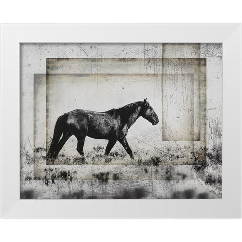 Wild Horses of the Great Basin 05 White Modern Wood Framed Art Print by LightBoxJournal