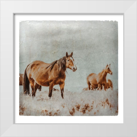 Wild Horses of the Great Basin Lomography 01 White Modern Wood Framed Art Print by LightBoxJournal