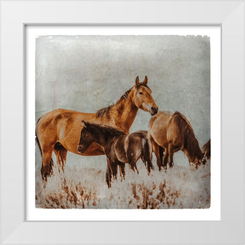 Wild Horses of the Great Basin Lomography 02 White Modern Wood Framed Art Print by LightBoxJournal