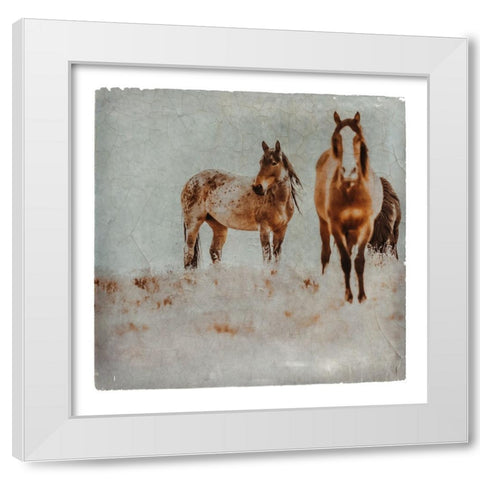 Wild Horses of the Great Basin Lomography 03 White Modern Wood Framed Art Print by LightBoxJournal