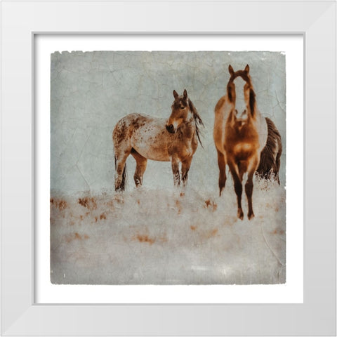 Wild Horses of the Great Basin Lomography 03 White Modern Wood Framed Art Print by LightBoxJournal