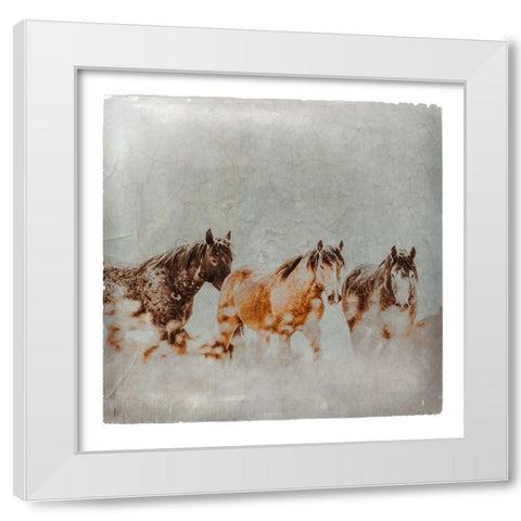 Wild Horses of the Great Basin Lomography 04 White Modern Wood Framed Art Print by LightBoxJournal