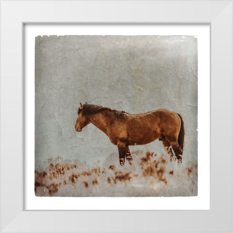 Wild Horses of the Great Basin Lomography 05 White Modern Wood Framed Art Print by LightBoxJournal