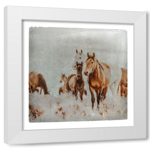 Wild Horses of the Great Basin Lomography 06 White Modern Wood Framed Art Print by LightBoxJournal