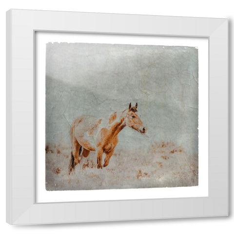 Wild Horses of the Great Basin Lomography 07 White Modern Wood Framed Art Print by LightBoxJournal
