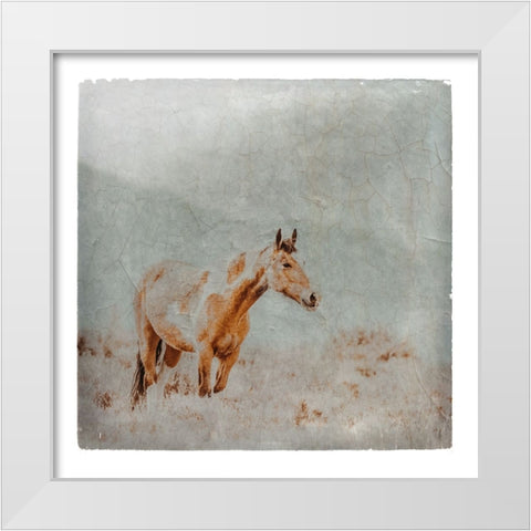 Wild Horses of the Great Basin Lomography 07 White Modern Wood Framed Art Print by LightBoxJournal