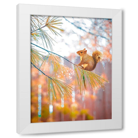 Squirrel Bokeh White Modern Wood Framed Art Print by Love Grams
