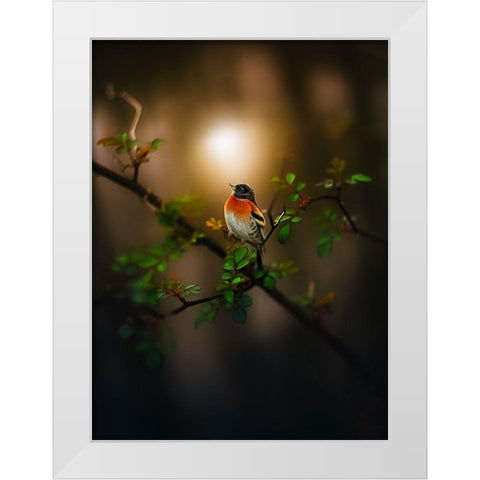 Into the Woods White Modern Wood Framed Art Print by Love Grams