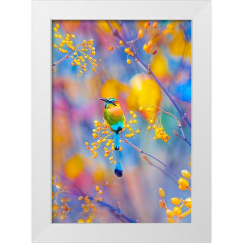 Rainbow Motmot White Modern Wood Framed Art Print by Love Grams
