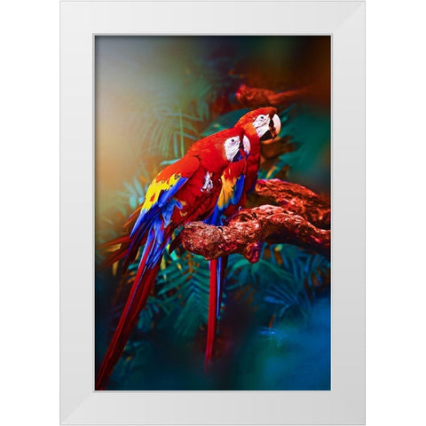 Soulmate Macaws White Modern Wood Framed Art Print by Love Grams