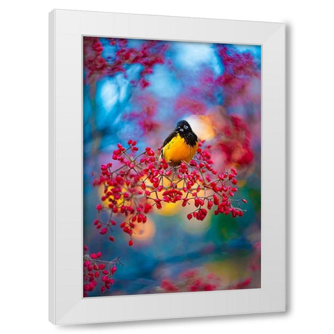 The Oriole White Modern Wood Framed Art Print by Love Grams