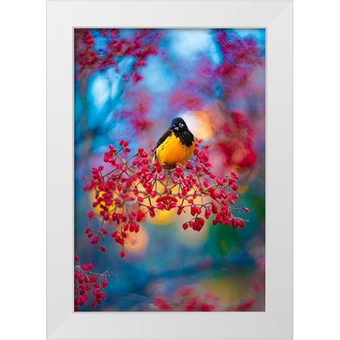 The Oriole White Modern Wood Framed Art Print by Love Grams