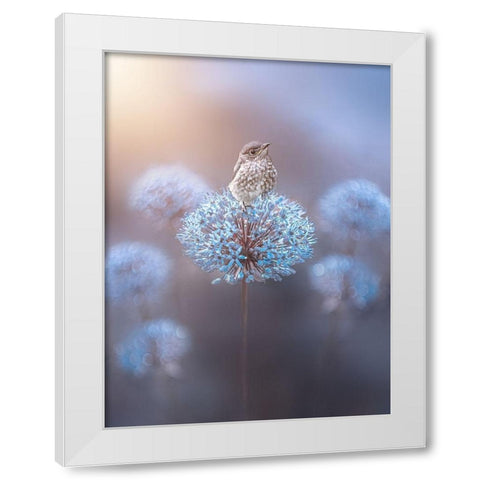 The Perch White Modern Wood Framed Art Print by Love Grams