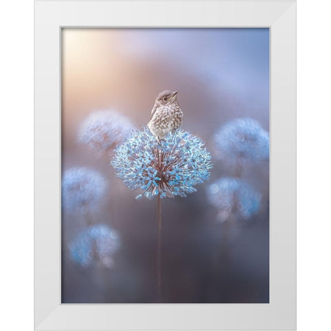 The Perch White Modern Wood Framed Art Print by Love Grams