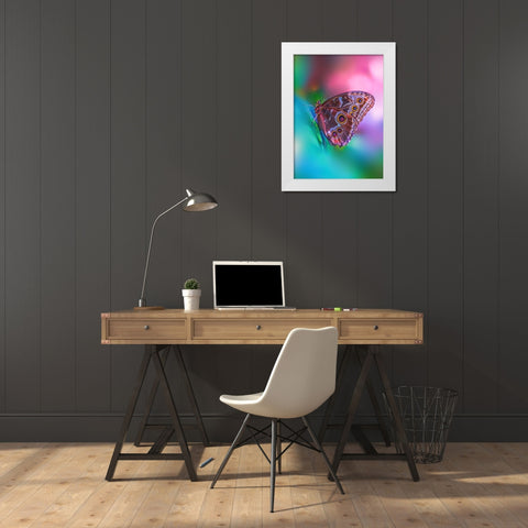 Hazy Butterfly White Modern Wood Framed Art Print by Love Grams