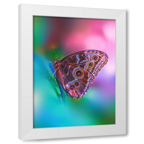 Hazy Butterfly White Modern Wood Framed Art Print by Love Grams