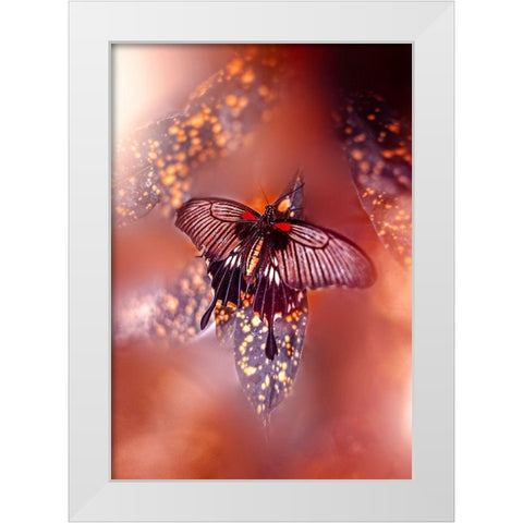 Hearts on Fire White Modern Wood Framed Art Print by Love Grams