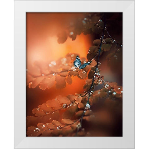 Orange Glow White Modern Wood Framed Art Print by Love Grams