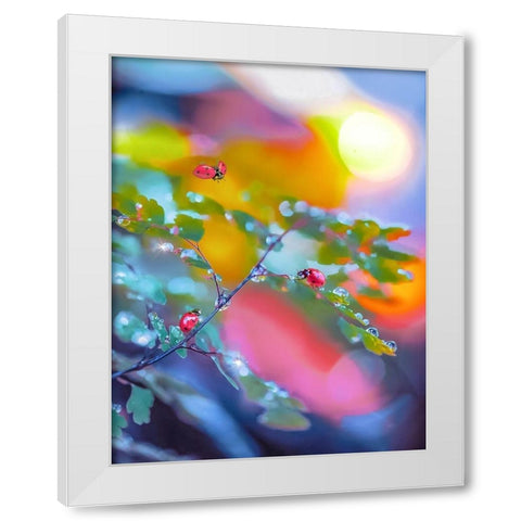 The Ladybugs White Modern Wood Framed Art Print by Love Grams