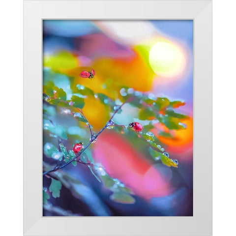 The Ladybugs White Modern Wood Framed Art Print by Love Grams
