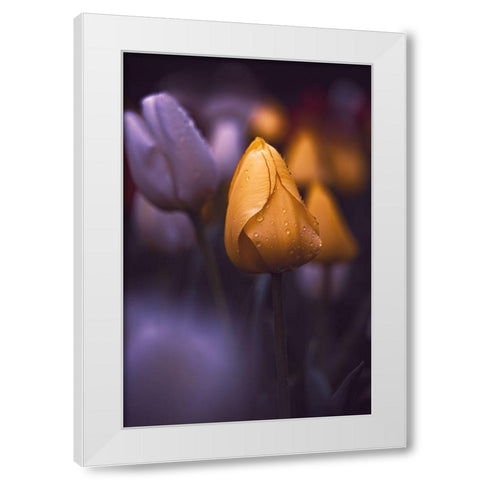 Tulips at Dusk White Modern Wood Framed Art Print by Love Grams