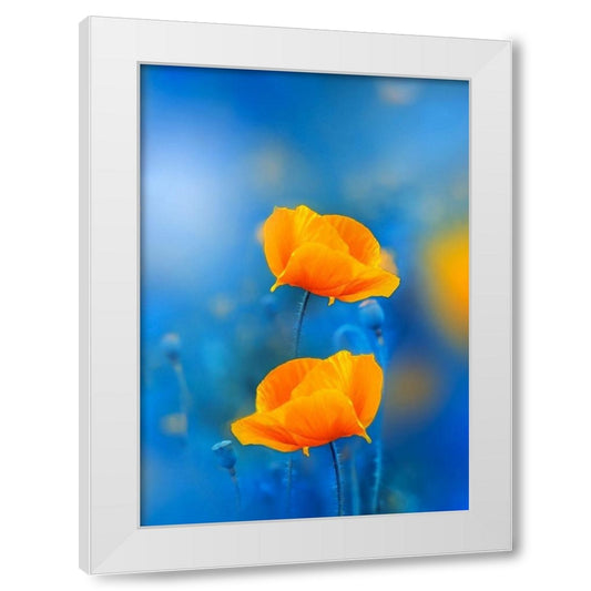 Perspective Image