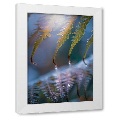 IMG_7584 White Modern Wood Framed Art Print by Love Grams