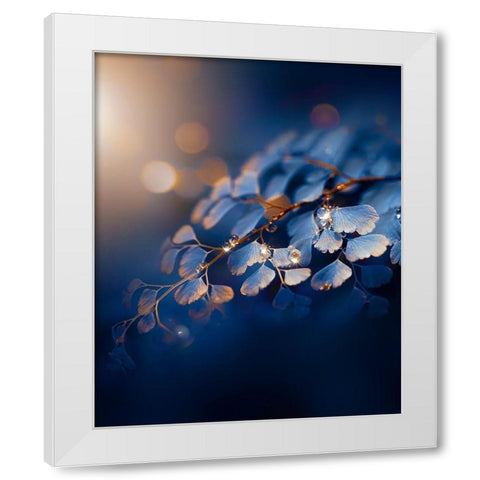 IMG_7585 White Modern Wood Framed Art Print by Love Grams