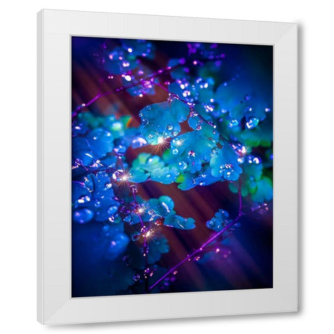 IMG_7586 White Modern Wood Framed Art Print by Love Grams